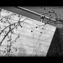 La sombra de una sombra (I.A.)