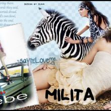Safari