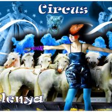 Circus