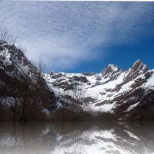Reflejos5