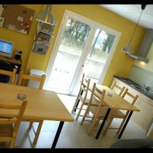 Estudio 1