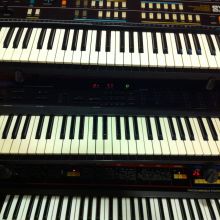 JUNO 60 Y KORG DW800