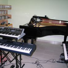 Estudio principal