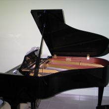 Estudio principal 3