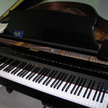 Estudio principal 4