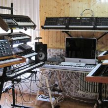 Estudio 2011