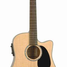 Takamine EG260