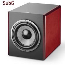 Focal sub 6