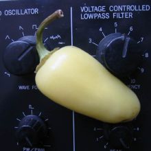 Sabor Analogico