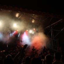 Festes del tura 2010
