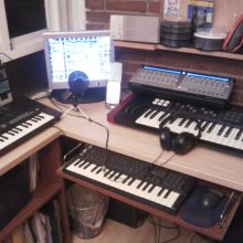 Estudio 2011
