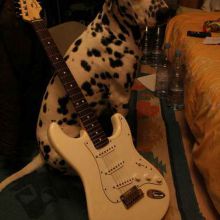 Strato &amp; Ron
