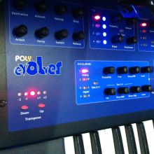 poly evolver