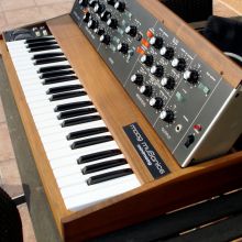 Minimoog Musonics (2)