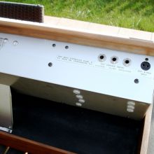 Minimoog Musonics (3)