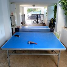Ping Pong