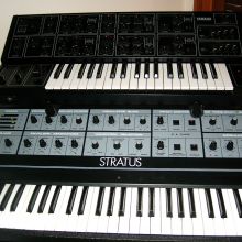 crumar stratus, yamaha cs15
