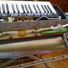 YAMAHA NP30S desmontado 2