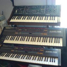 Junos y moog