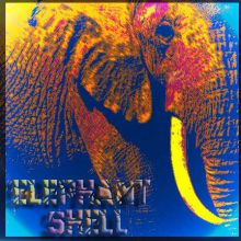 Elephant Shell