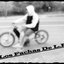 Es Mi Navee