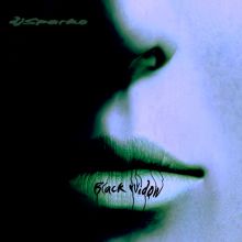 djSparko Portada