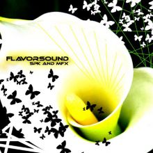 Icono sec. Flavorsound