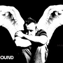 Wingssparko Flavorsound