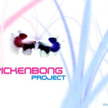 Portada Single Pickenbong
