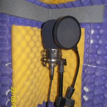 BEHRINGER B-1