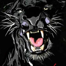 Pantera negra