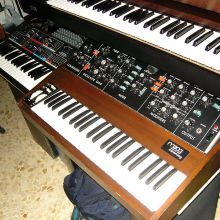 Moog minimoog model D