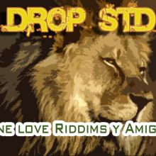 Drop std One love riddims y Amigos