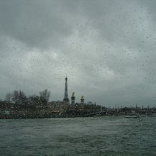 gotas
