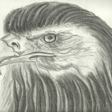 Aguila
