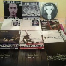 12 VINILOS