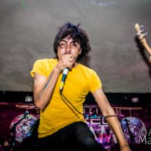 Hard to Dance Chow