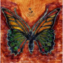 Mariposa dibujada y pintada sobre madera.