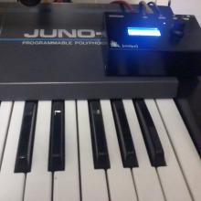 midipals...