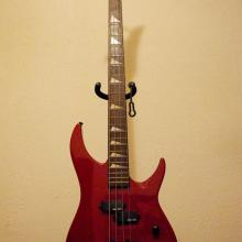 Celebrity Bass by Ovation