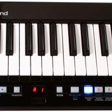 ROLAND LUCINA