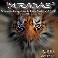 Exposición Fotográfica: "MIRADAS"