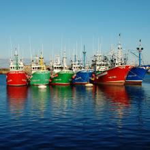 los barcos de pesca