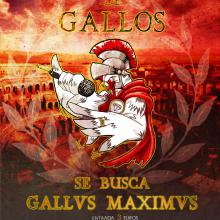 Cartel para gallus maximus 2014