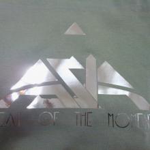 Asia - Heat of the moment