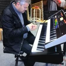 estudio 33