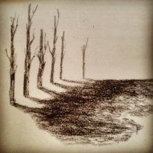 arbres