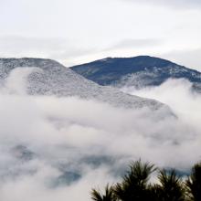 Vistas