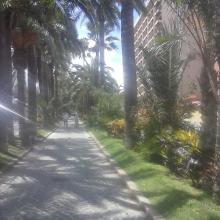 Paseo