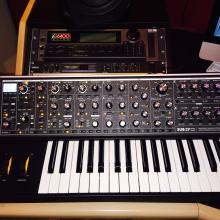 Moog sub-37